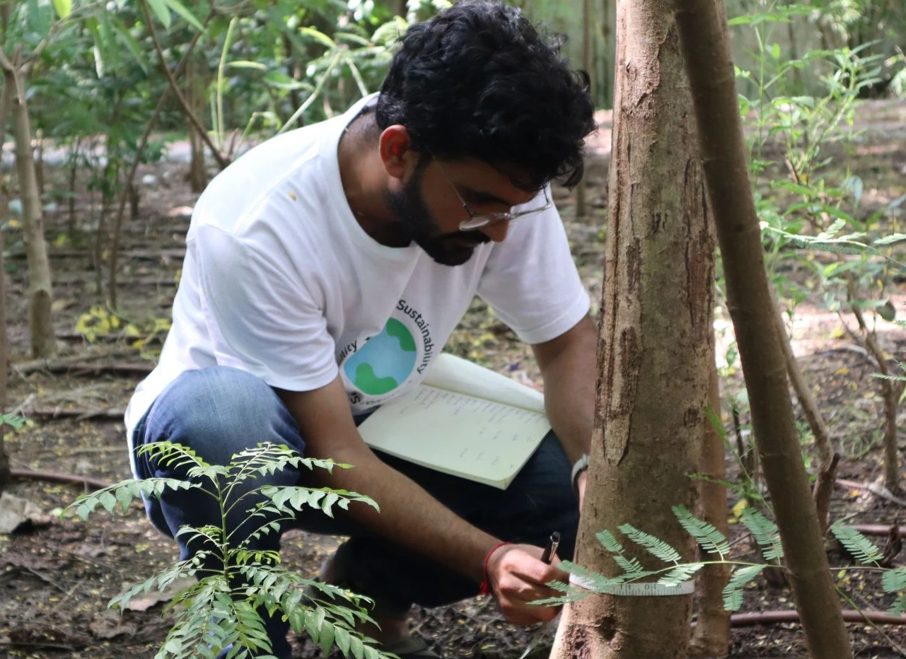 Tree Growth at MS